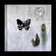 thumbnail image 4 of Calavera Mariposa Metal Arte de la Pared DecoracióN Placas para Colgar en la Pared Adorno Escultura de Pared de Hierro para Interior Al Aire Libre Hogar D, 4 of 7