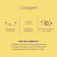 thumbnail image 2 of Skin Republic Collagen Infusion Face Mask, 2 of 7