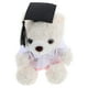 thumbnail image 4 of KAKOWELY Oso de peluche Doctor, oso de graduación, muñeco suave para la temporada de graduaciones, regalo de 2025, recuerdos y accesorios para fotos de graduación, blanco y rosa., 4 of 4