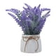 thumbnail image 1 of planta dec. lavanda 24cm, 1 of 7
