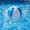 Blue, variant on Gallickan PVC Inflatable Beach Ball, Outdoor Water Play Toy for Pool and Beach Fun, 1pc Coffee