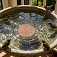 thumbnail image 4 of Bird Bath Water Purifier Discs Natural Enzyme Cleaner For Bird Baths Outdoor Garden Pond Water Treatment, 4 of 4