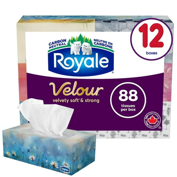 Mouchoirs Royale Velour, 12 boîtes, 88 mouchoirs par boîte