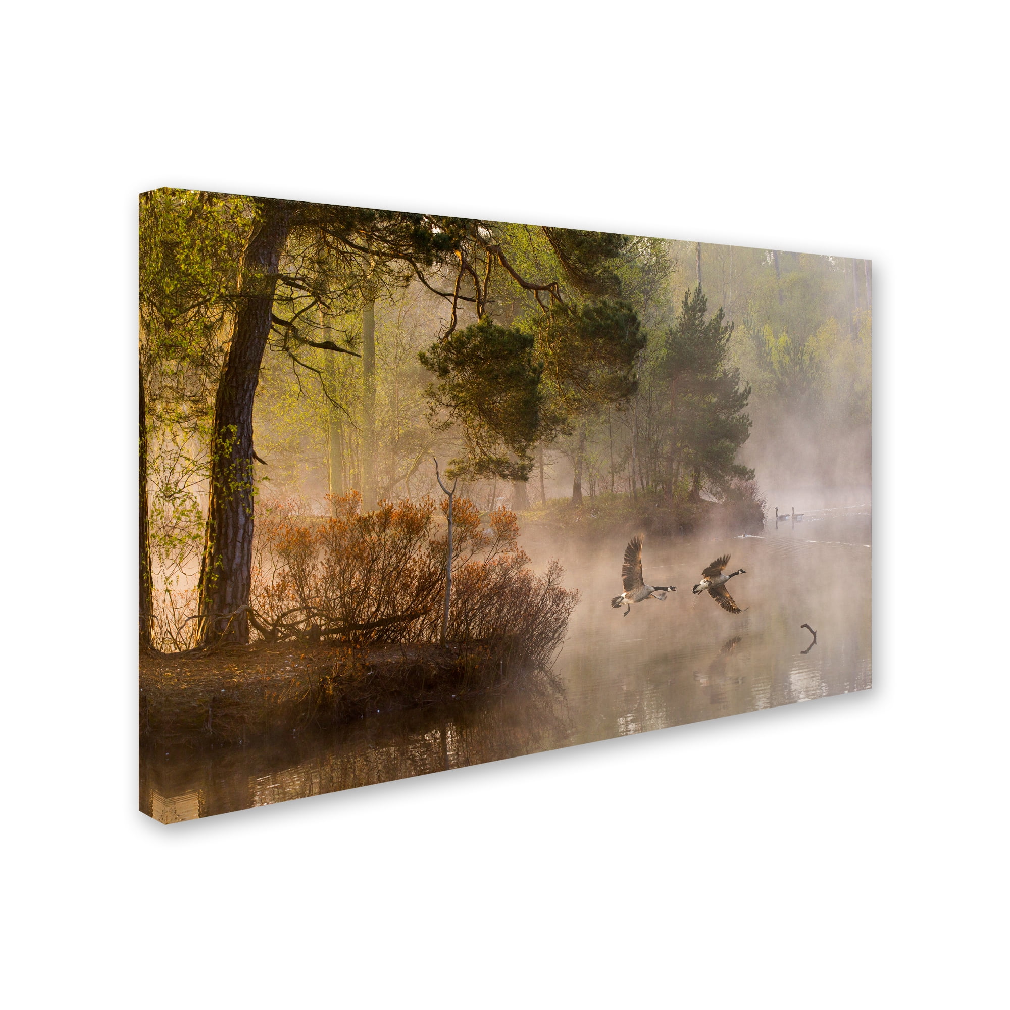 Anton Van Dongen 'Goose Fight' Canvas Art