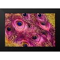 thumbnail image 2 of Lavoie, Tina 18x13 Black Modern Framed Museum Art Print Titled - Buried Treasure V, 2 of 5