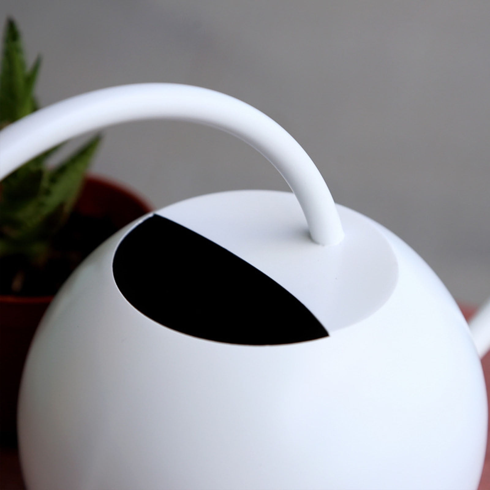 Gecau Stainless Steel Watering Can - Metal Watering Can With Long Spout To Spillage, Perfect Plant Watering Can For Outdoor And Indoor Plants White Safe&N
