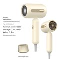 thumbnail image 2 of Secador de Pelo Eléctrico Toystoory Grado Profesional Ajuste de Calor Ligero Chaison TYPE3, 2 of 6