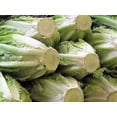 thumbnail image 2 of 3000 LITTLE GEM LETTUCE Small Romaine Butterhead Lactuca Sativa Vegetable Seeds, 2 of 3
