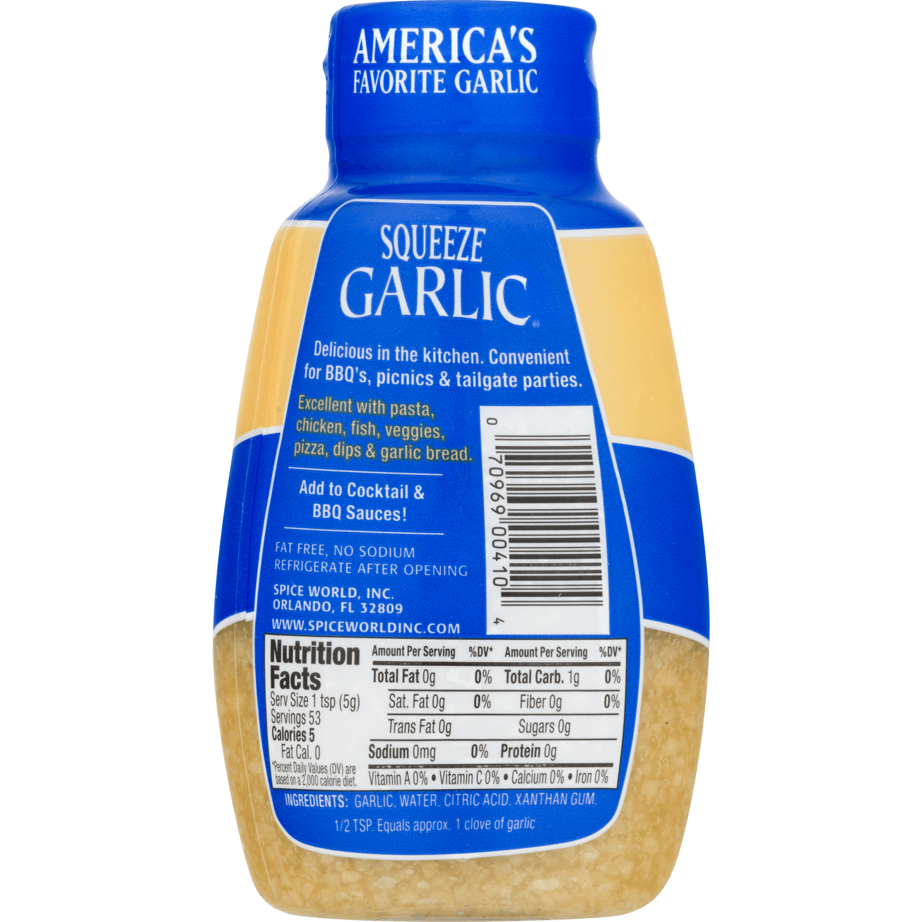 spice world squeeze ginger equivalent