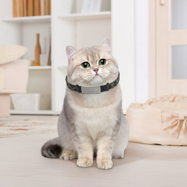 Collier pour Chat Motif Léopard avec Anneau