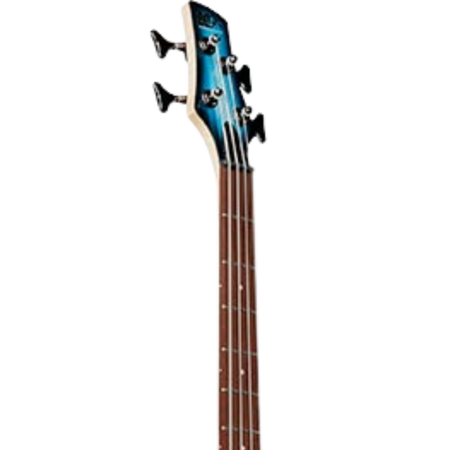 Ibanez SR300E-DOT