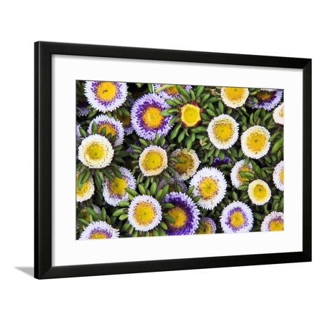 Netherlands, Holland, Utrecht Province, Amersfoort. Medieval Old Town. Weekly Floral Market Framed Print Wall Art By Emily Wilson