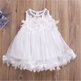 thumbnail image 2 of Bagilaanoe Toddler Baby Girl Party Dress 3D Flowers Sleeveless A-line Princess Dresses 1T 2T 3T 4T 5T 6T 7T Kid Tulle Wedding Skirt, 2 of 4