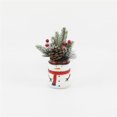 thumbnail image 1 of Flora Bunda CH2072E Xmas Mix in Snowman Ceramic Pot 3X3X4, 1 of 1