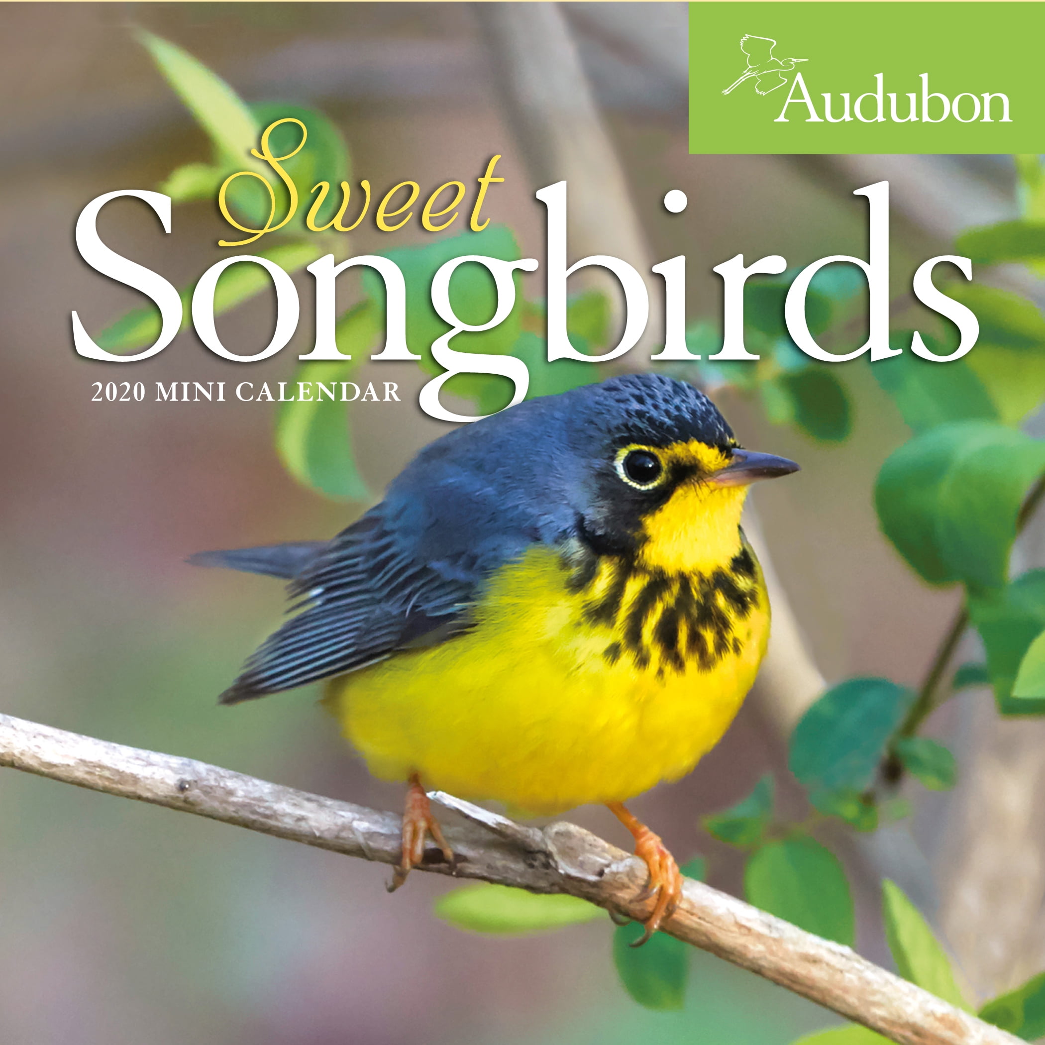Audubon Sweet Songbirds Mini Wall Calendar 2020 Walmart Walmart audubon-sweet-songbirds-mini-wall-calendar-2020-walmart-walmart
