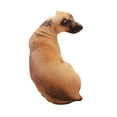 thumbnail image 3 of Soimiss Pillow for Dog Soft Stuffed Dog Multi 1PC, 3 of 8