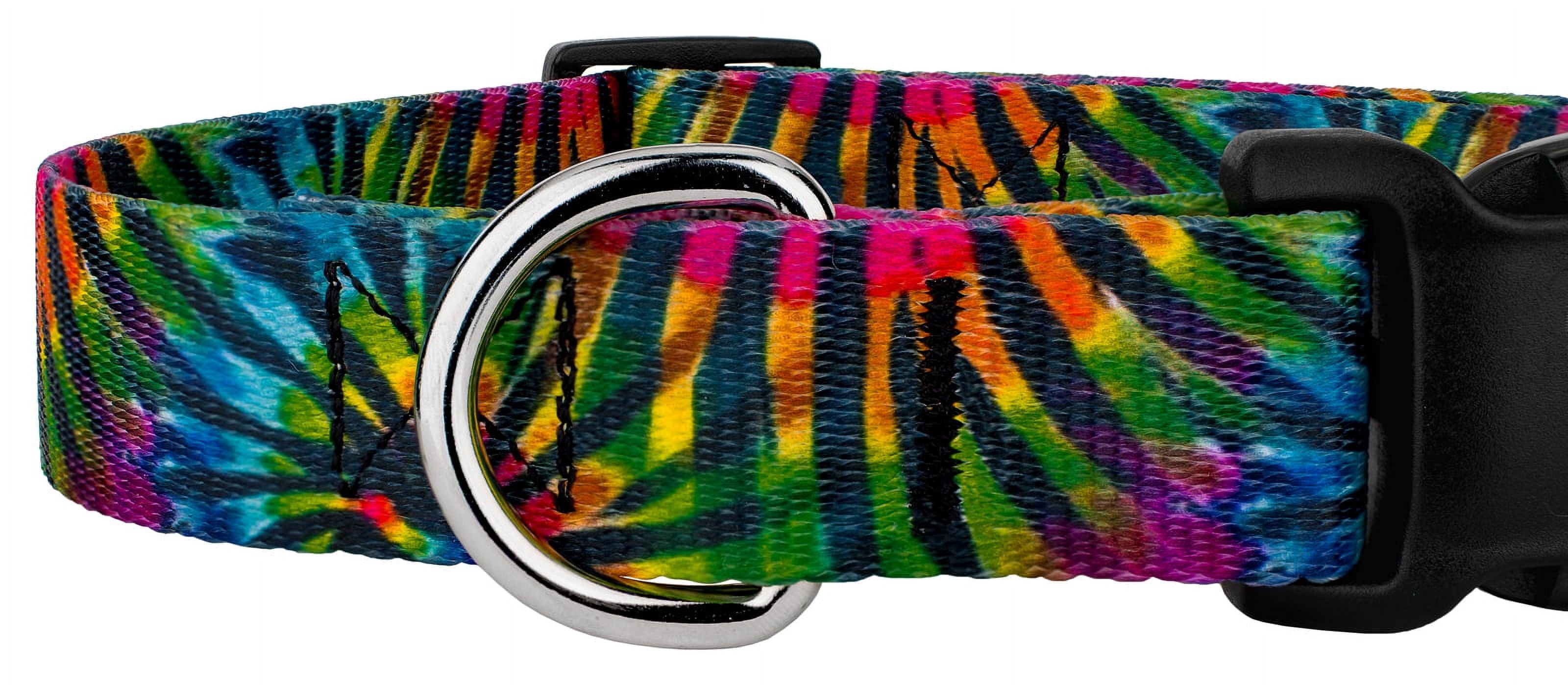 Country Brook Petz® Tie Dye Stripes Everyday Dog Collar and Leash, Medium