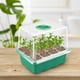 thumbnail image 2 of Bandeja para plántulas con orificio de aire cubierto, maceta para siembra de plántulas, para germinación de semillas, crecimiento de propagación, 2 of 6