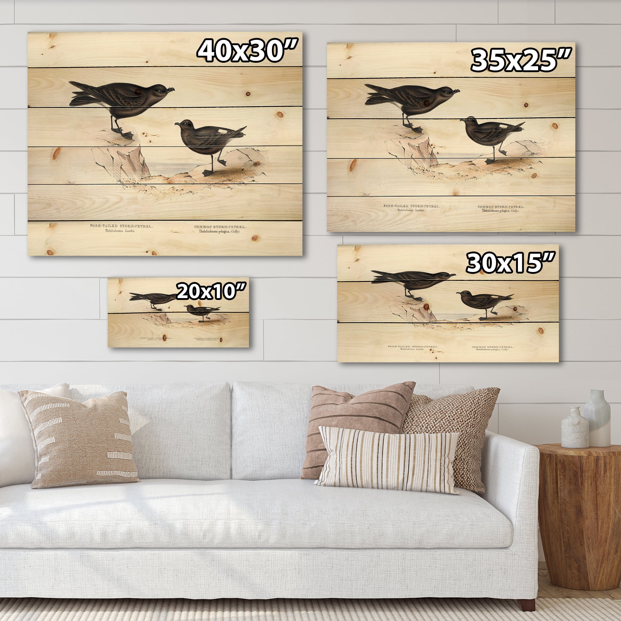 Designart 'Ancient Bird Of Europe III' Traditional Print on Natural Pine Wood