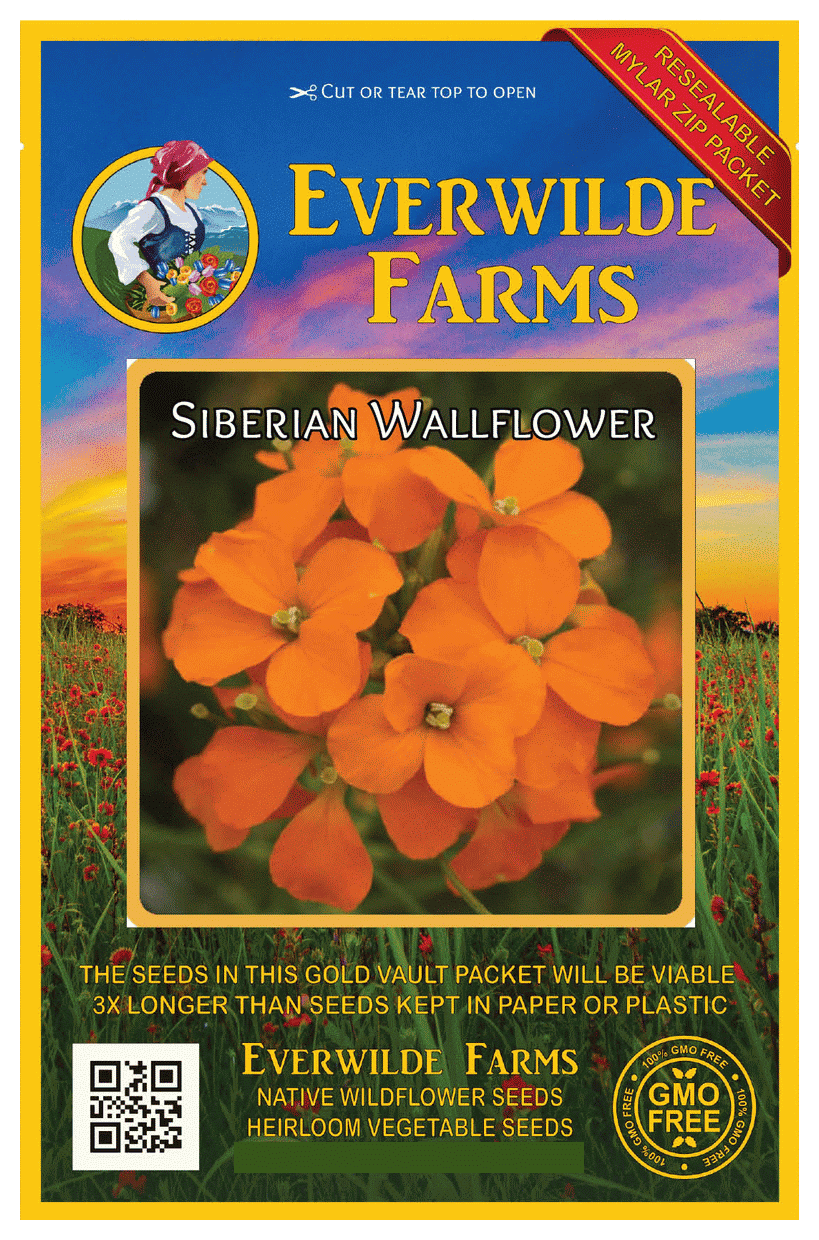 Everwilde Farms Mylar Seed Packet 2000 Tall Bellflower Wildflower Seeds 