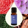 thumbnail image 3 of Plant Therapy Chakra 6 Clear Intuition Essential Oil Blend (Brow Chakra) 10 mL (1/3 oz) 100% Pure, Undiluted, Therapeutic Grade, 3 of 8