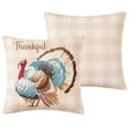thumbnail image 2 of Mainstays 16" x 16" Reversible Decorative Outdoor Throw Pillow, Turkey, 2 of 9