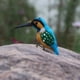 thumbnail image 4 of 5 uds., Adorno de pájaros Kingfisher , escultura de jardín, adorno para , decoración creativa para árboles, 4 of 9