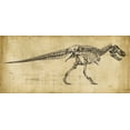 thumbnail image 2 of Harper, Ethan 14x9 White Modern Wood Framed Museum Art Print Titled - Tyrannosaurus Rex Study, 2 of 4