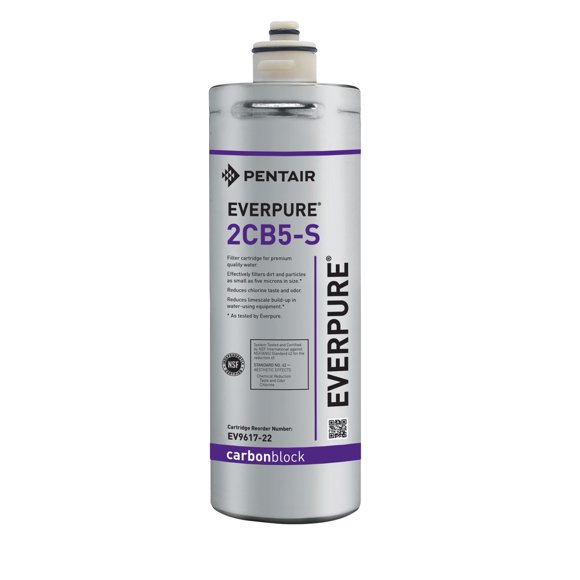 Everpure Replacement EV9617-22 2CB5-S Filter Cartridge, 1 Count (Pack of 1), Gray