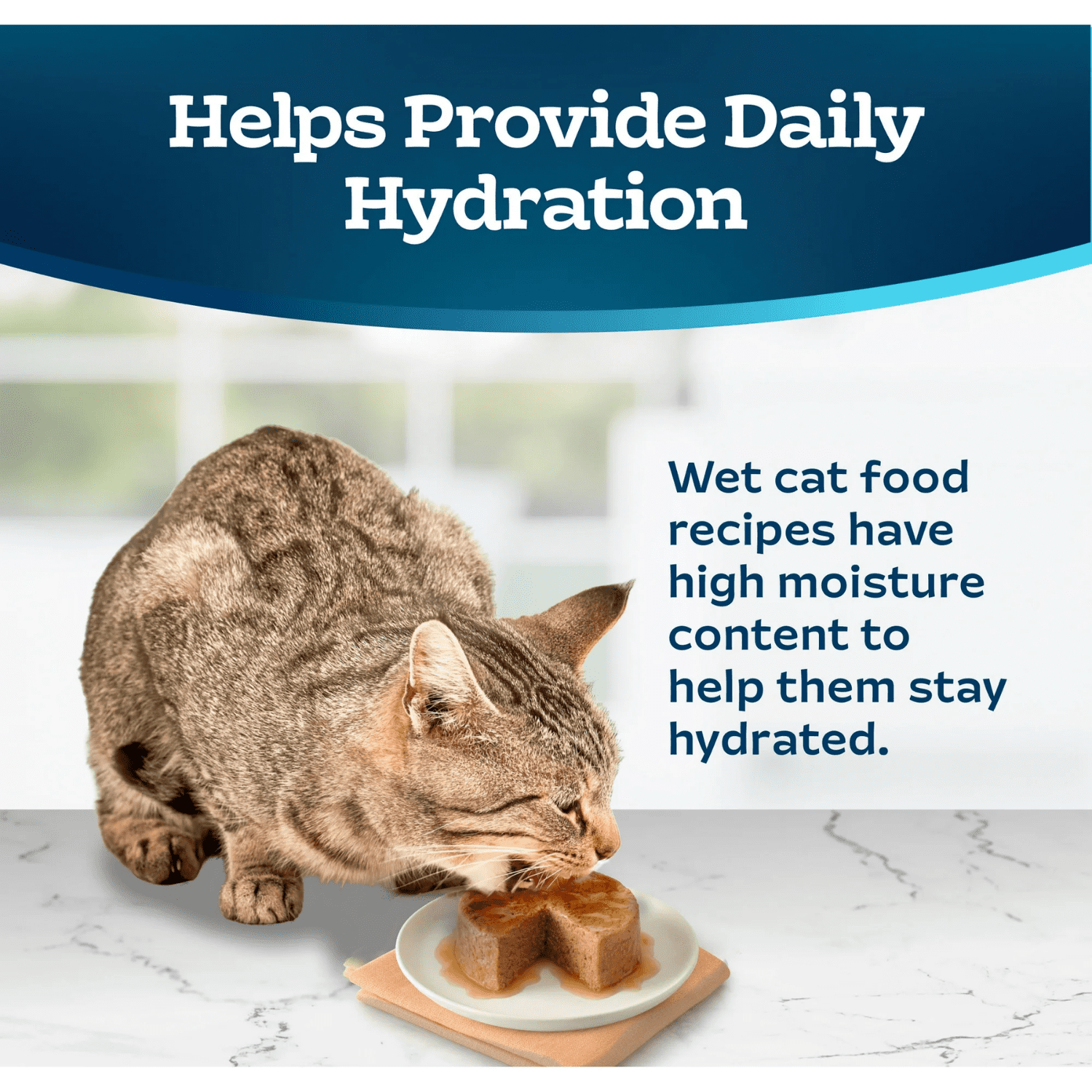 Blue Buffalo Tastefuls Wet Cat Food Paté, Made with Natural Ingredients, Salmon Entrée, 156g