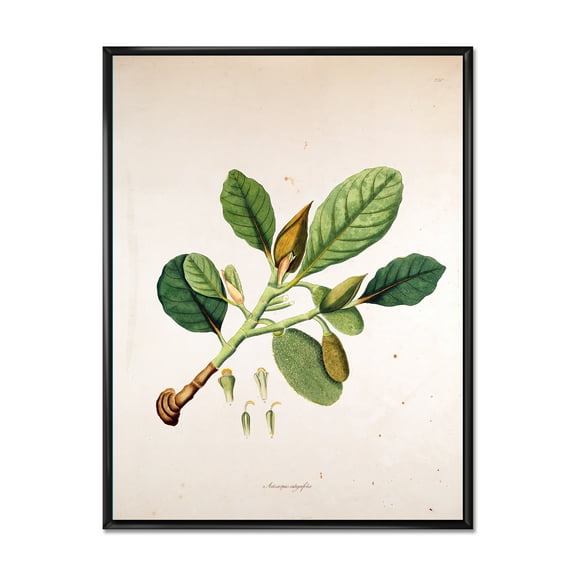 Designart 'Ancient London Plants I' Farmhouse Framed Canvas Wall Art Print