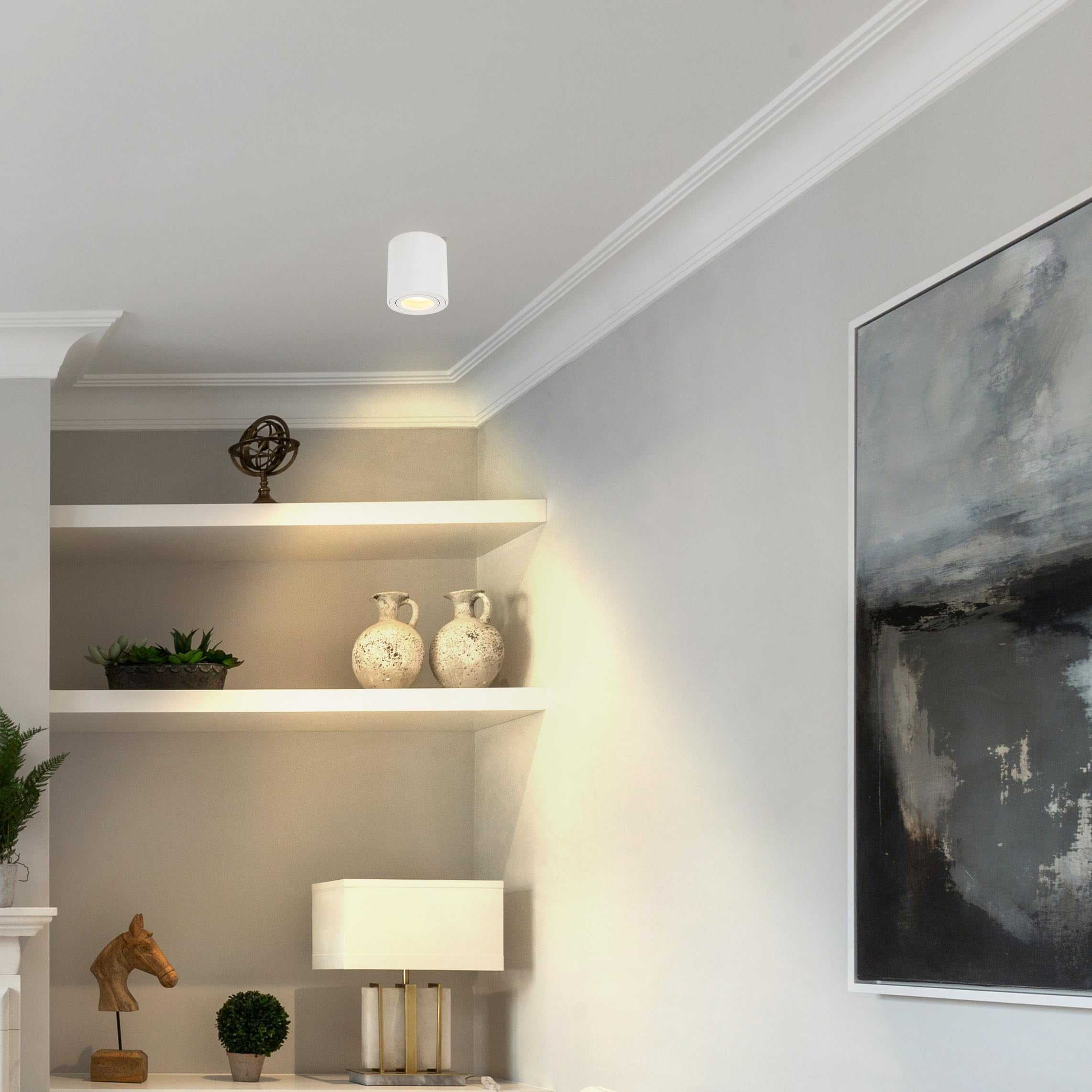 Kiven 1-Light Dimmable Flush Mount LED Ceiling Spotlight,White Directional Spot Lights Indoor, Hardwired Adjustable Accent Light with GU10 Socket for Plants, Painting, 2700-6500K,XDD899