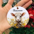 thumbnail image 5 of Baby Sheep Ornament Gifts for Kid Girl Boy Besties Friends Animal Lovers, Personalized Sheep Ornament Christmas Tree, Customized Name Baby Sheeps Ornament Xmas, Cute Sheep Christmas Ornaments 2025, 5 of 6