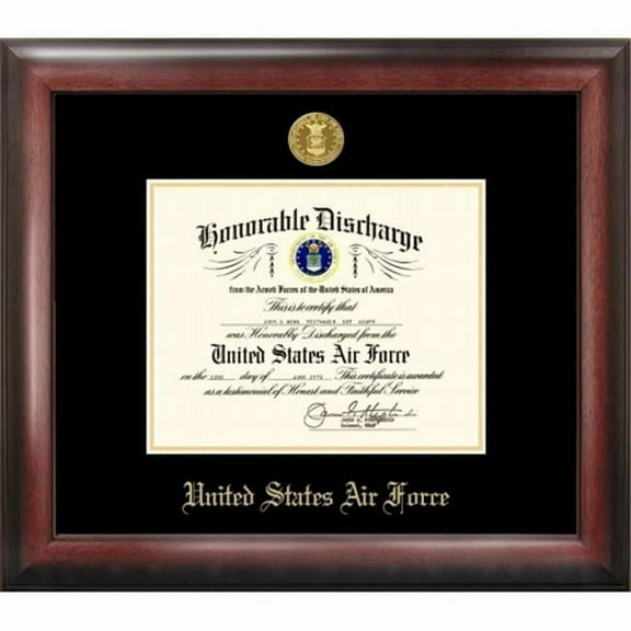 Campus Image AFDG001 Air Force Discharge Frame Gold Medallion
