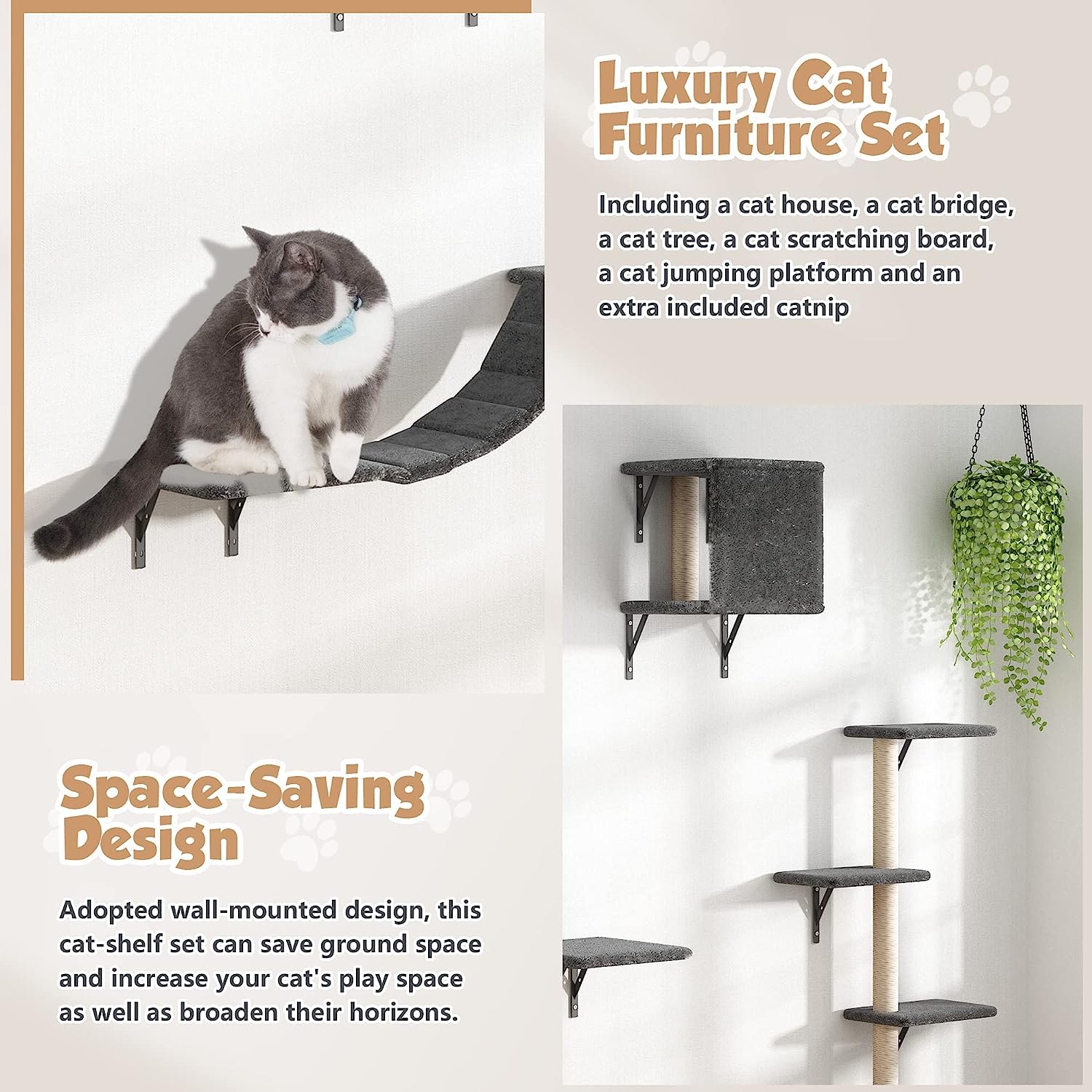 Best 5 Pcs Wall-Mounted Cat Climber Set Cat Wall Shelves and