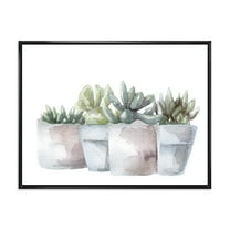 Designart 'Succulent and Cactus House Plants III' Farmhouse Framed Canvas Wall Art Print