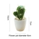 thumbnail image 2 of Planta en conserva de la simulación artificial de los bonsais del cactus de la simulación de la pequeña planta tropical artificial, 2 of 5