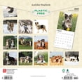 thumbnail image 2 of Australian Shepherds 2025 12 X 24 Inch Monthly Square Wall Calendar Plastic-Free (Wall), 2 of 9