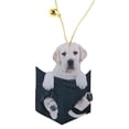thumbnail image 4 of Adorno colgante de acrílico para mascotas, espejo retrovisor universal para automóvil, decoración interior, 6, 4 of 5