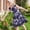 Purple, variant on ATOGUTA Dress for Girls Summer Ruffle Sleeve A Line Casual Party Dresses for Kids Size 5T-14, Purple