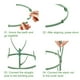 thumbnail image 4 of Advancent Soporte para plantas sin esfuerzo, soporte resistente para plantas de jardín, reutilización, soporte para plantas, pila fácil Jardín y Patio, 4 of 6