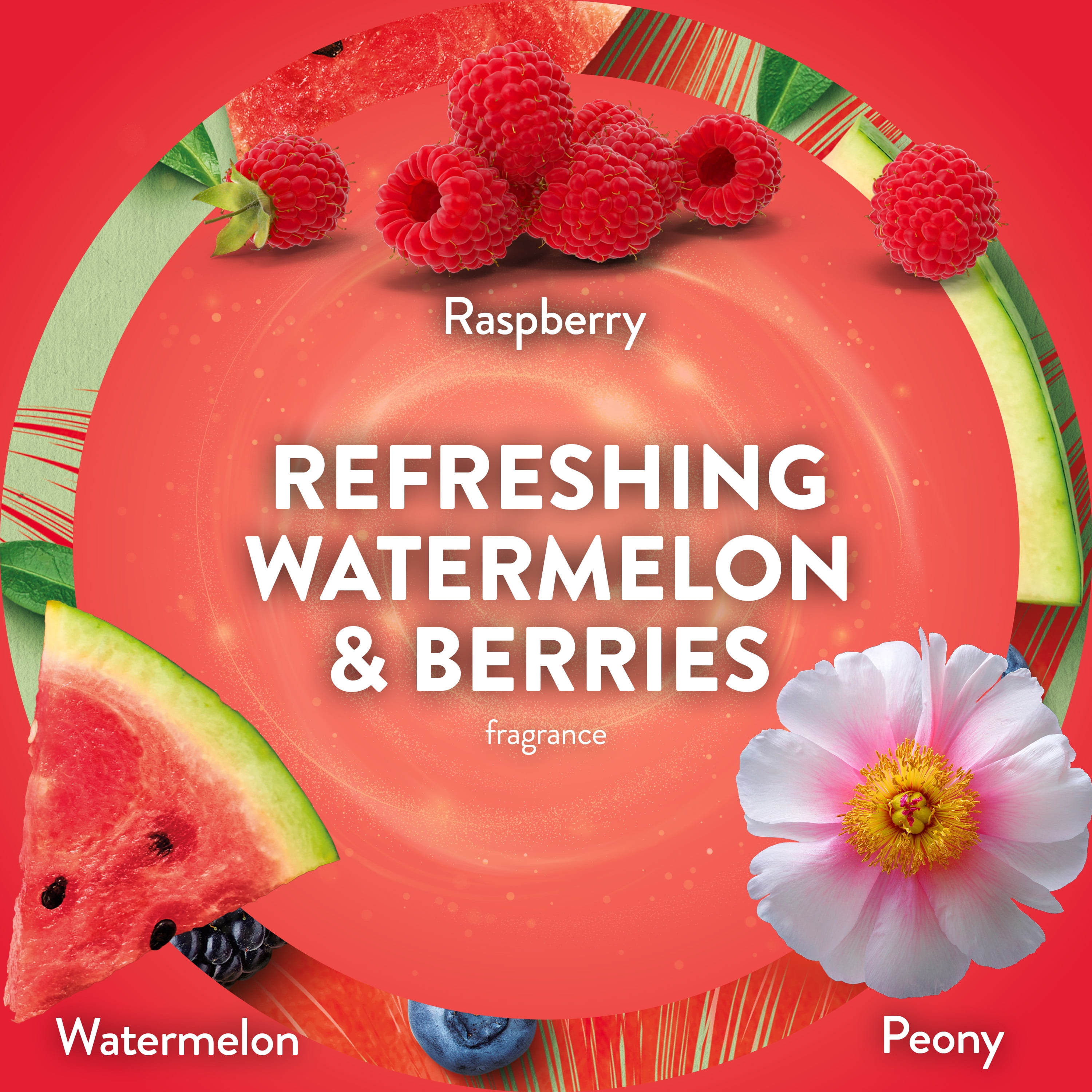 (5 pack) Air Wick Plug-In Scented Oil Warmer Air Freshener Refills, Refreshing Watermelon & Berries, 4 Count
