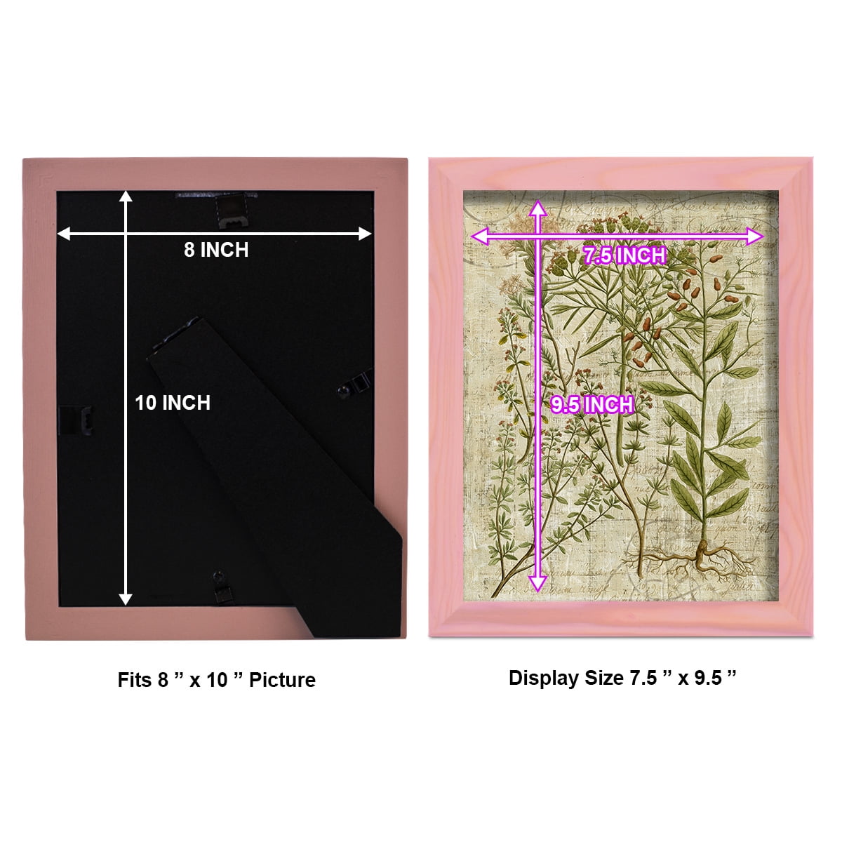 Garden Verses I -Framed Print w/glass-Sunset Pink