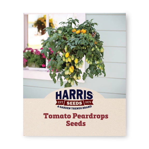 Harris Seeds Peardrops F1 Tomato, Yellow Pear Cherry Type for Hanging Baskets and Containers, 50 Count