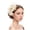 Beige, variant on Linfrsh Fascinator Hats for Women Party Hat Vintage Hat Feather Headband for Cocktail Wedding Pink,One Size