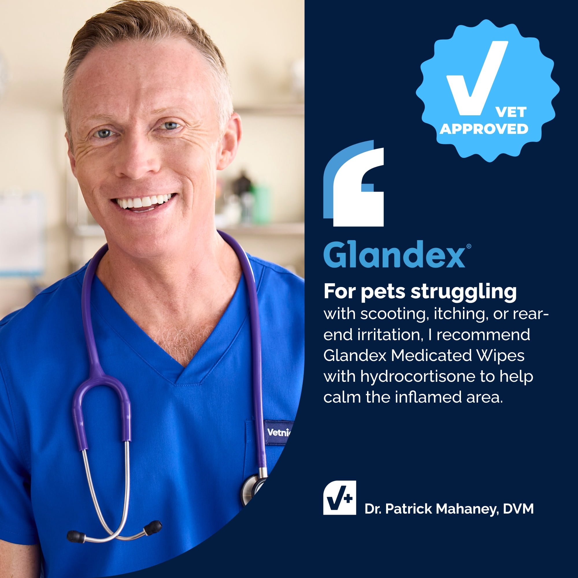 Vetnique Glandex Advanced Vet Strength Anal Gland Wipes for Dogs with Hydrocortisone & Pramoxine, 50 Count