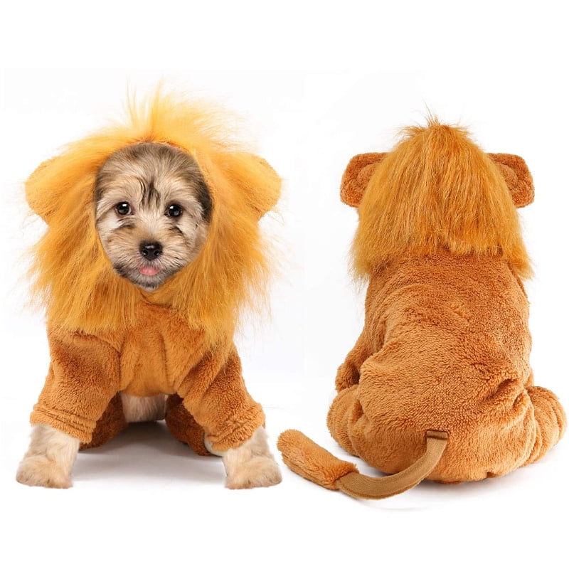 simba dog outfit