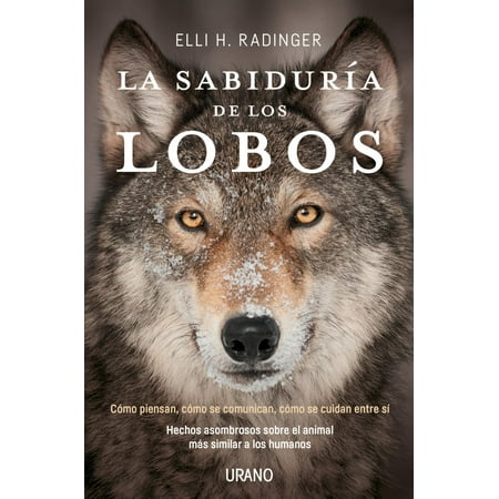 La Sabiduria de Los Lobos (Los Lobos Best Of)