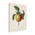 thumbnail image 2 of Pierre Redoute 'Redoutes Fruit IV' Canvas Art, 2 of 3