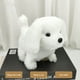 thumbnail image 1 of Juguetes para piscina, juguetes para bebés, juguetes para niños pequeños. Cachorro de juguete de simulación que puede caminar. Perro labrador de juguete infantil que puede llamar perro de juguete., 1 of 2